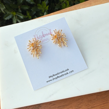 Load image into Gallery viewer, Fancy Firework Statement Studs
